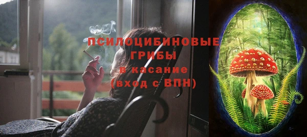 МДПВ Верея